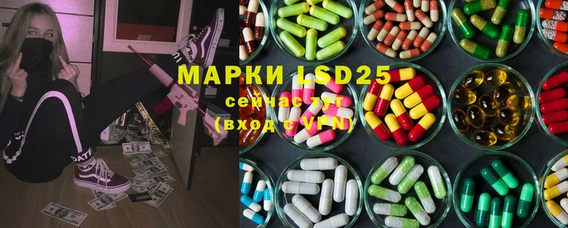 дарнет шоп  Гудермес  LSD-25 экстази ecstasy 